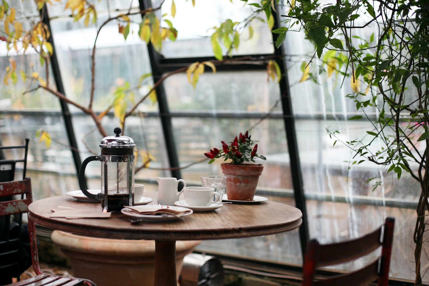 Una mesa de café junto a una ventana con plantas